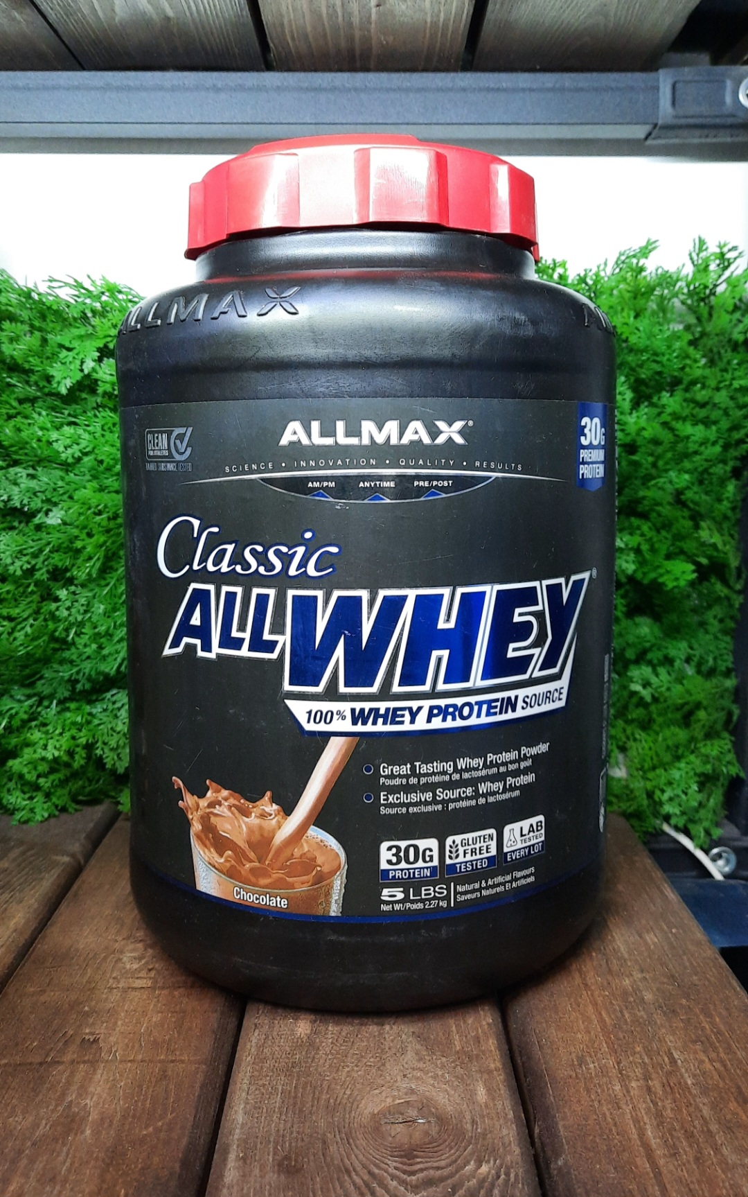 پروتئین وی کلاسیک آلمکس